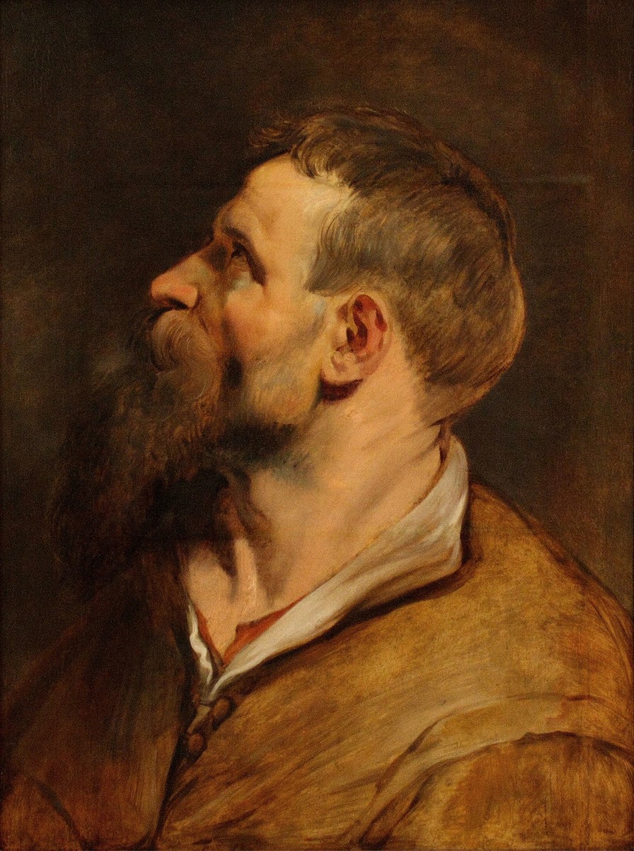 Head of a bearded man between 1620 and 1621