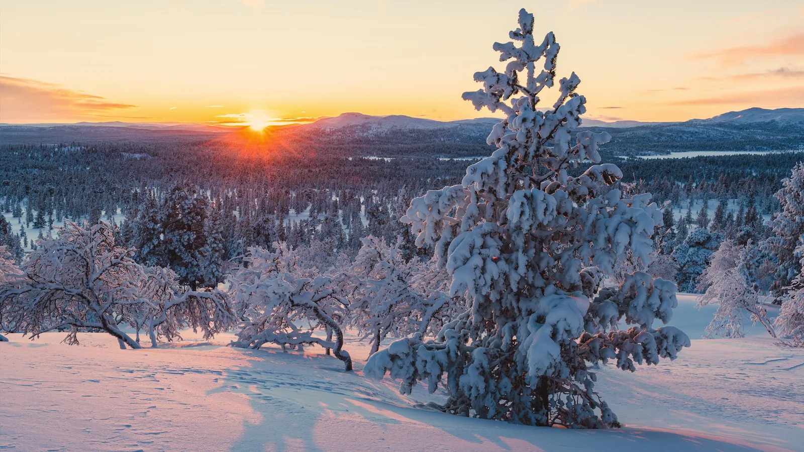 Snowy Winter Sunset Over Forest - Nature Photography 4K Wallpaper (3840x2160)