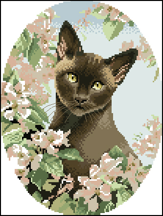 CMP JS304 Burmese Cat