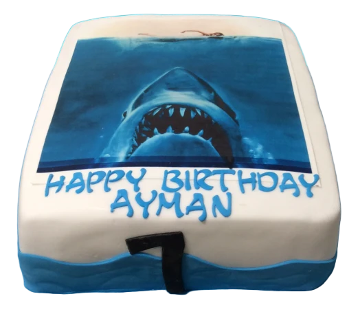 Shark Birthday Cakes CB-NC065