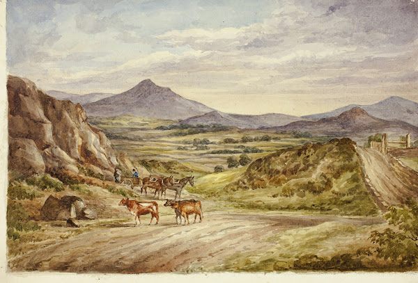 Wicklow Hills 1843