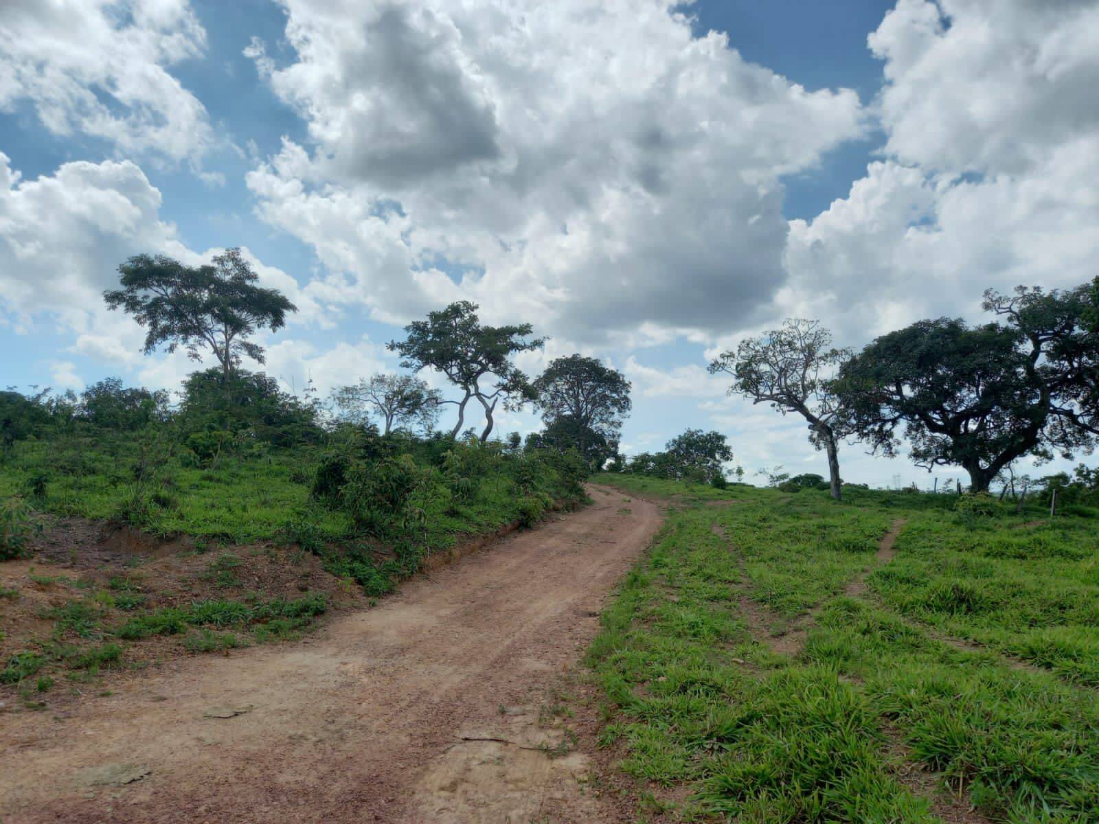 Fazenda em São Miguel do Passa Quatro-GO 3