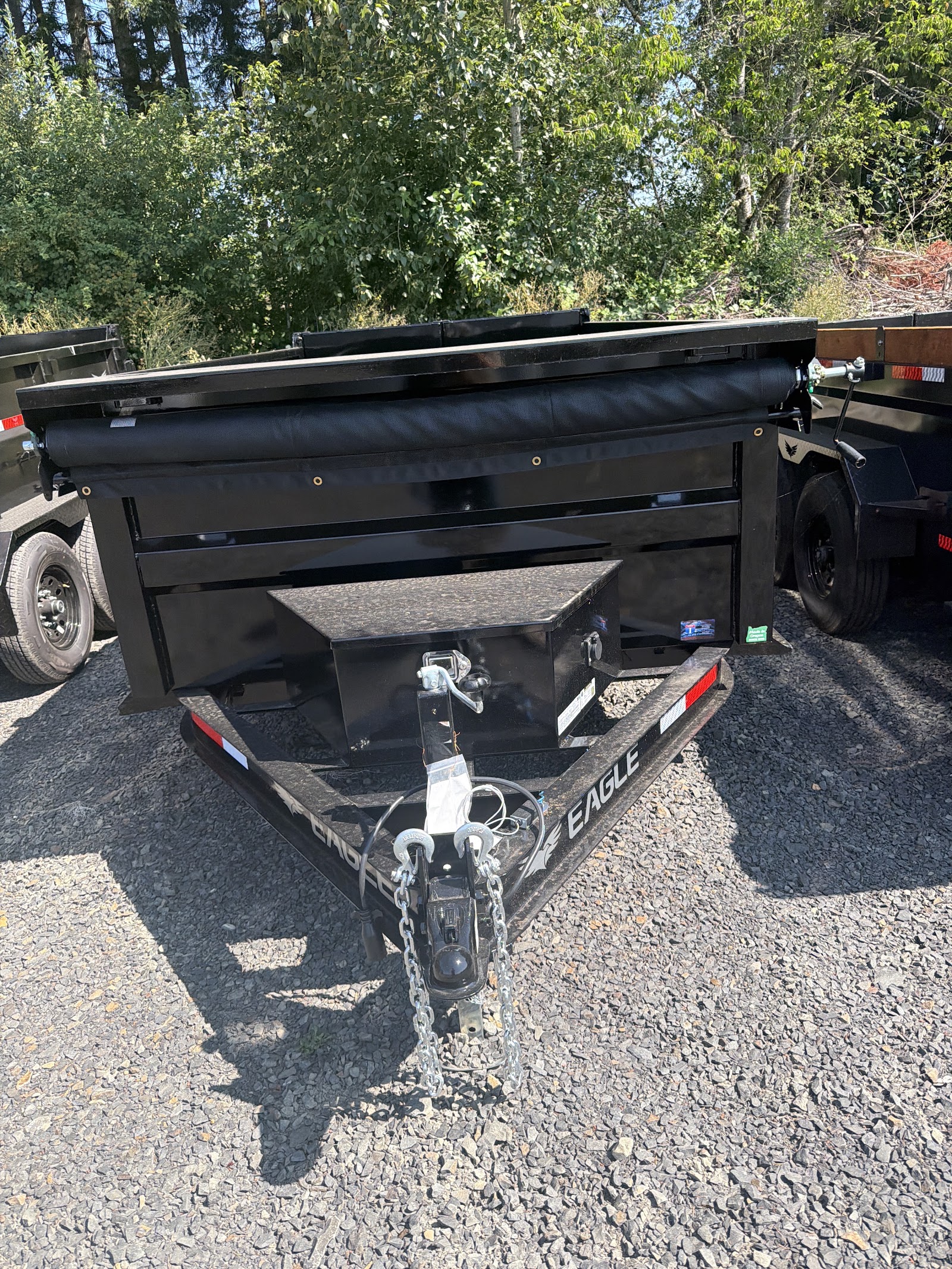 10K Raptor Low Profile Dump