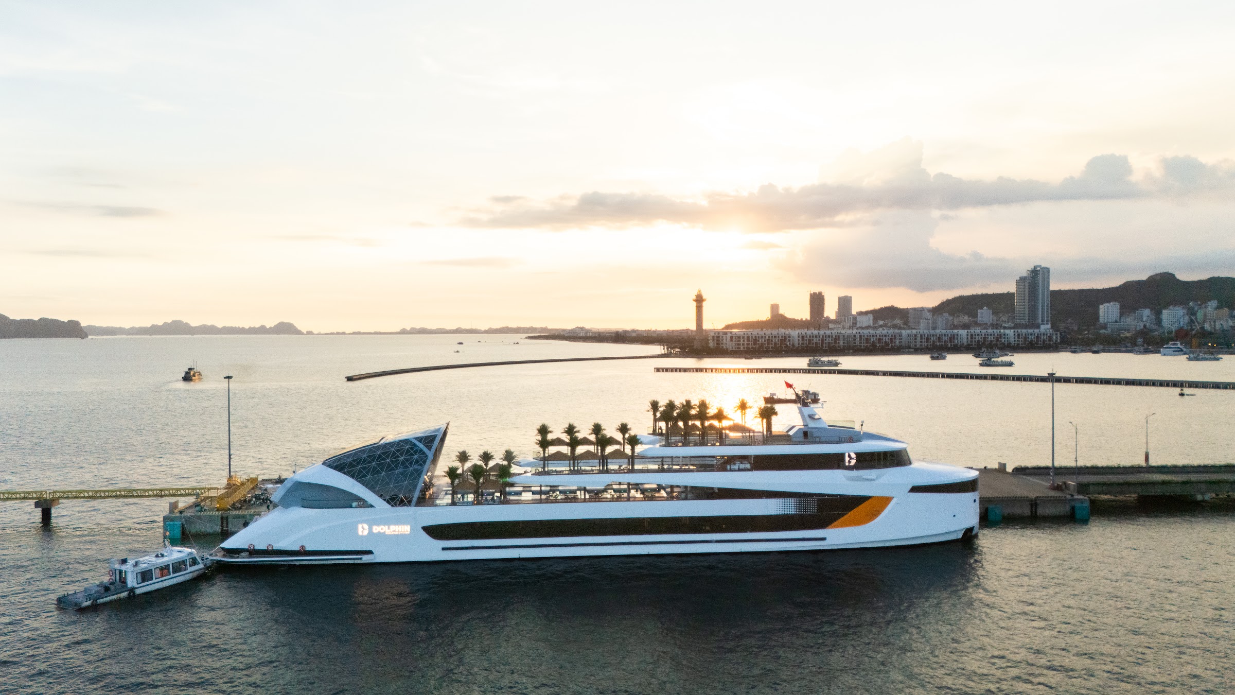 Dolphin Cruise Hạ Long - ảnh 3