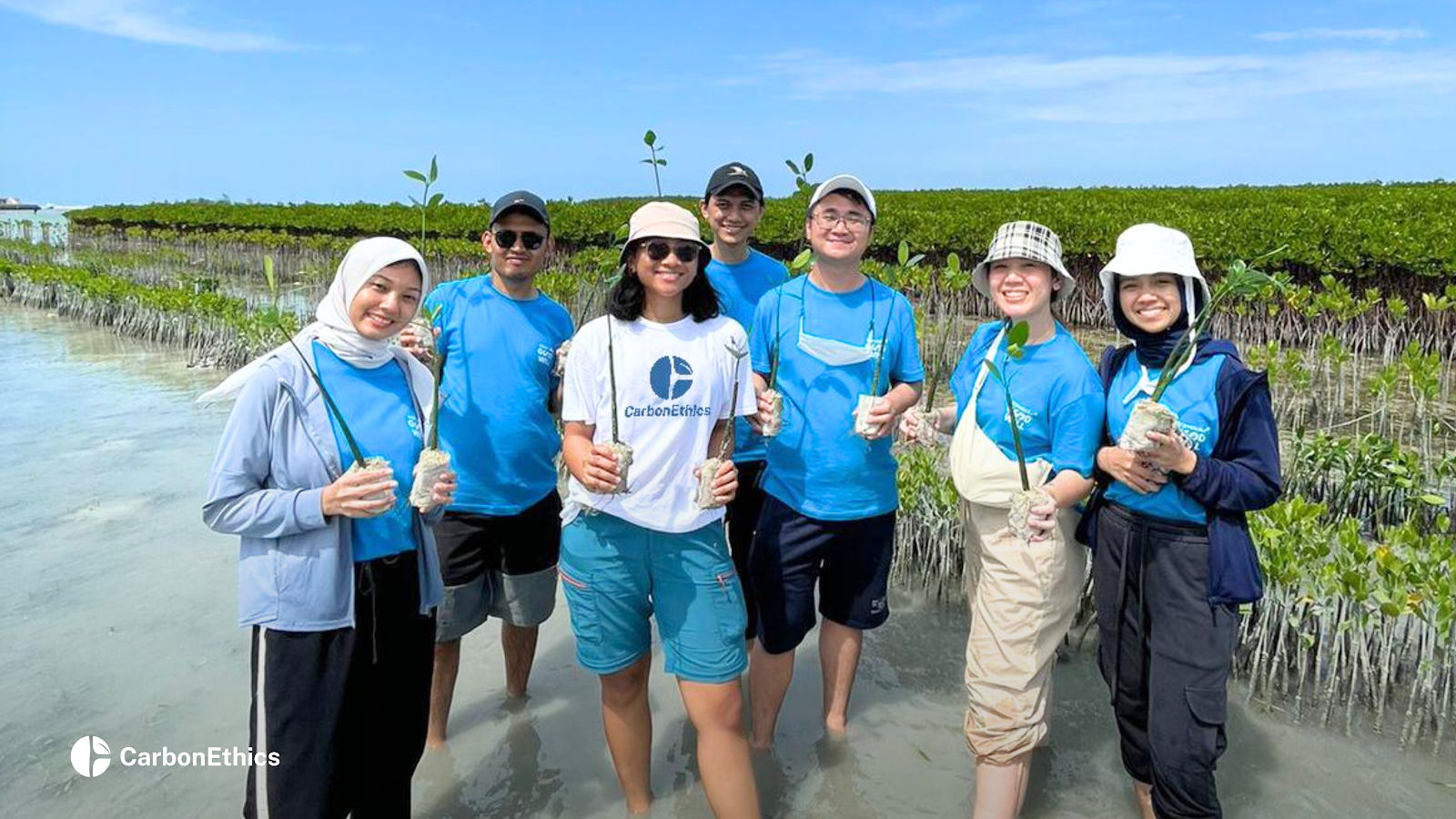 CarbonEthics' Team