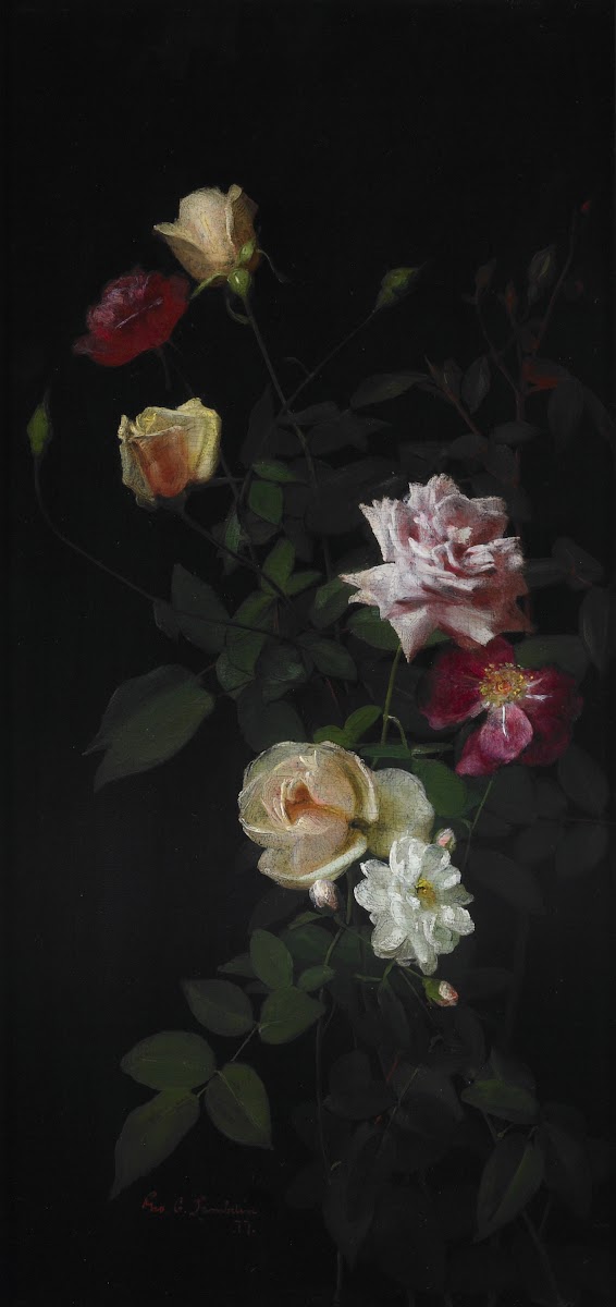 Still Life 1877