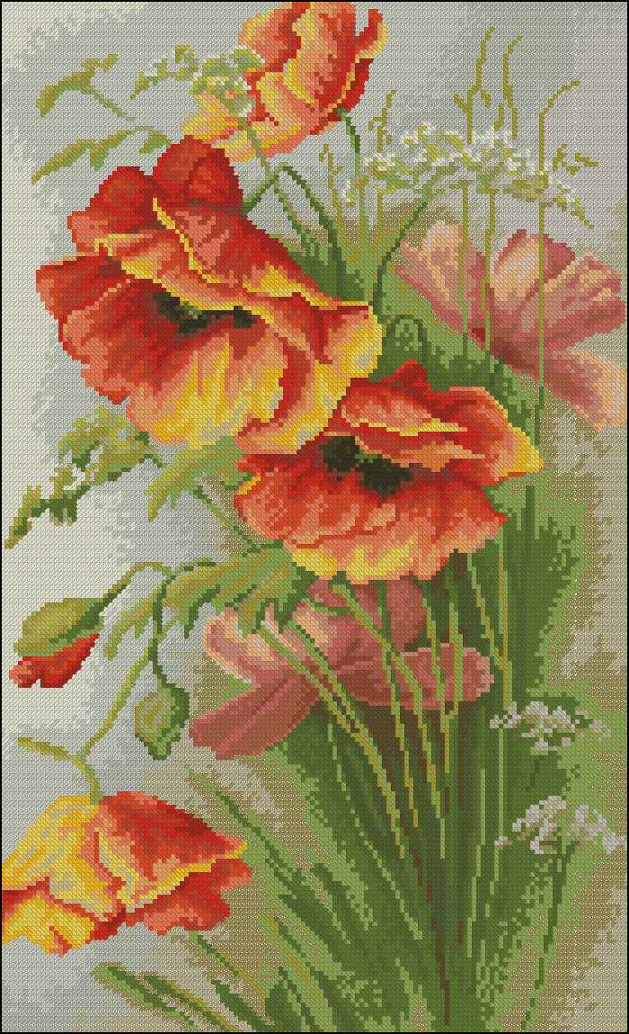CMP 171286 Red Poppies