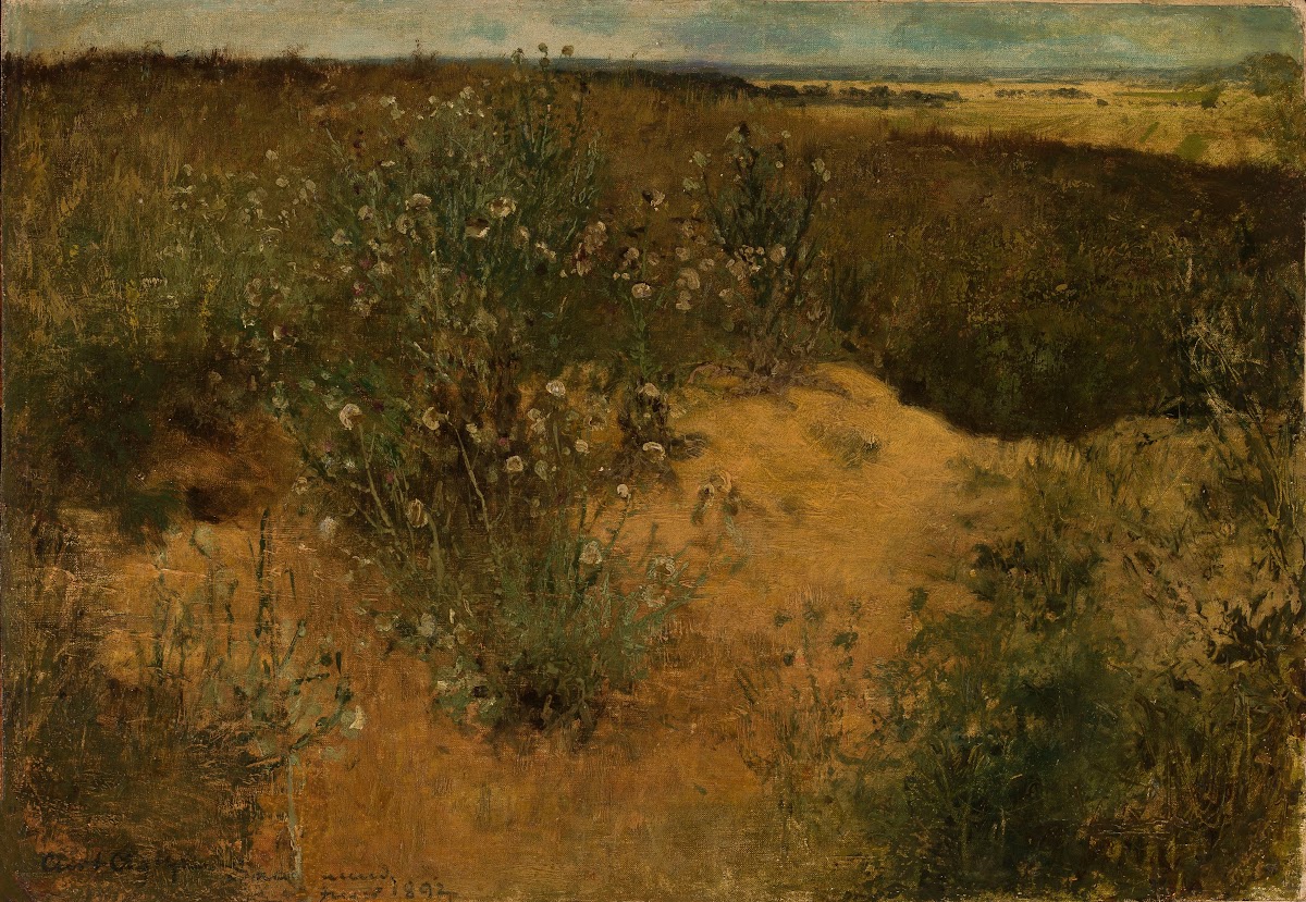 Landscape with thistles 1892
