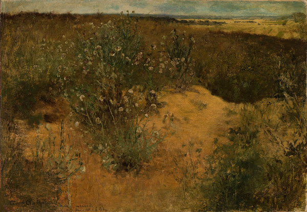 Landscape with thistles 1892