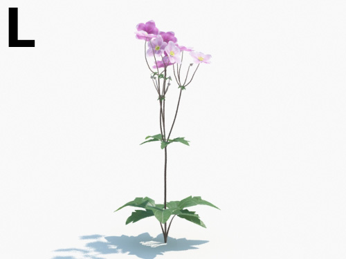Maxtree - Plant Models Vol.3