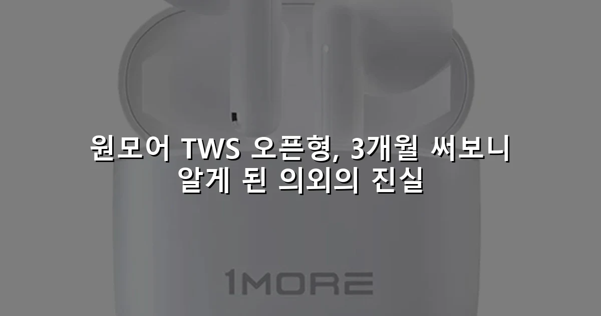 원모어 TWS 오픈형, 3개월 써보니 알게 된 의외의 진실