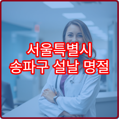 서울특별시 송파구 설날 명절 연휴 진료 병원 전체 안내 내과·외과·응급실 운영시간 위치