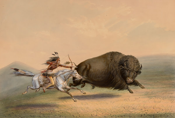 Buffalo Hunt ChaseNo 5