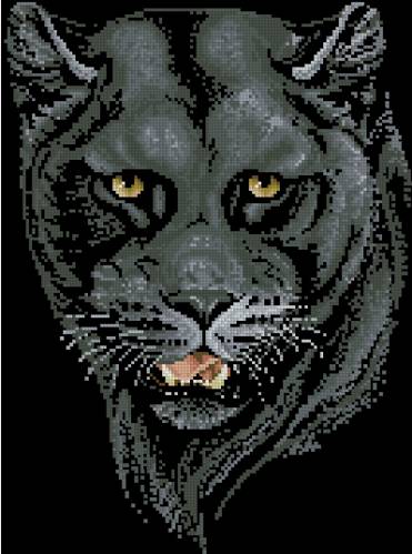 CMP TK41 Black Panther