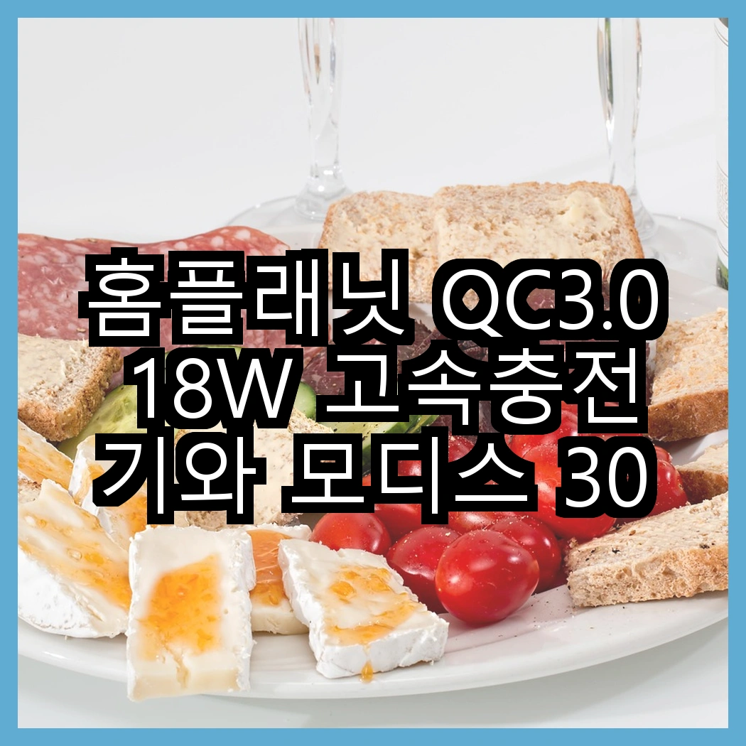 홈플래닛 QC3.0 18W 고속충전기와 모디스 30W GaN PD 충전기, 어떤 차이가 있을까? 썸네일