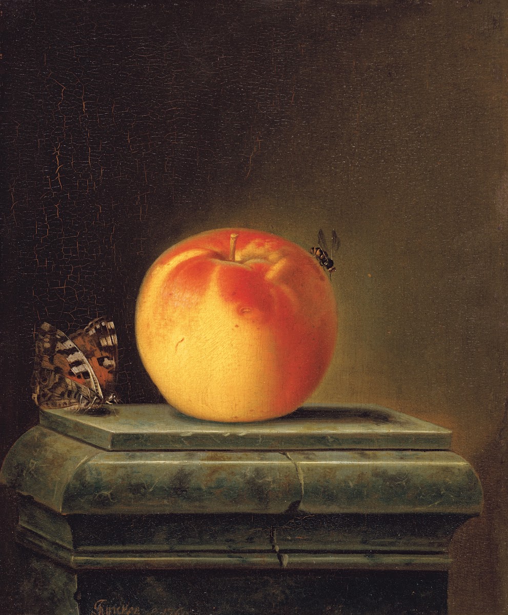 Still Life With Apple And Insects 1765