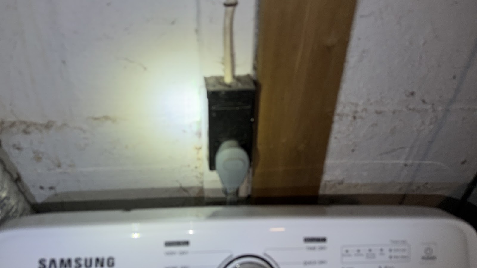 Copy of IMG_2026-03-13_14-51-19_631.jpg