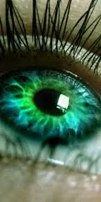 Electric Green Eyes, Eye Color, Contact Lens, Colored, Human Eye Full HD iPhone Wallpaper