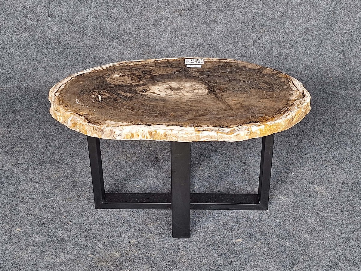 EAST COFFEE TABLE — SKU CFTP.T.412.25 | Petrified Wood by PJ Antique Bali