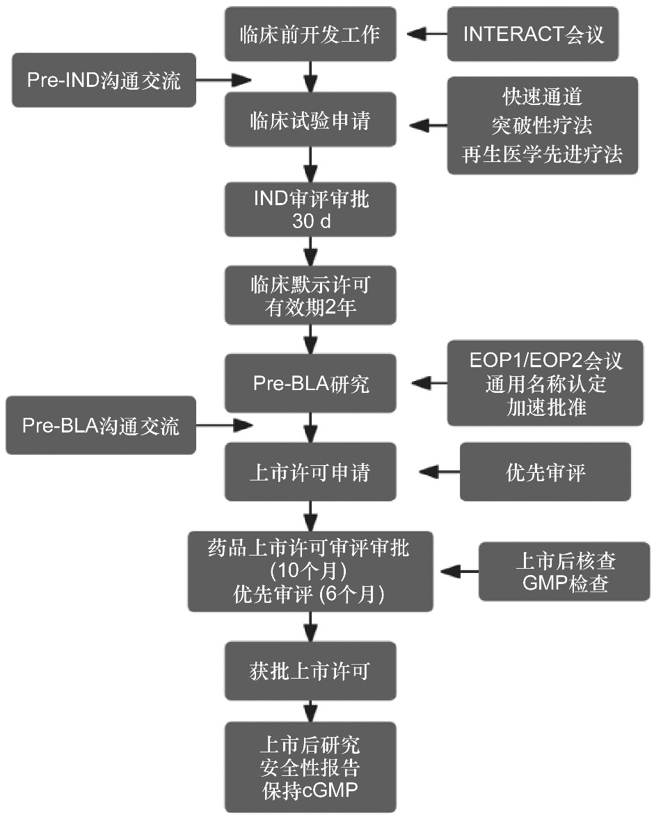 Advanced Therapeutic Approaches for Regenerative Medicine: A Comprehensive Review