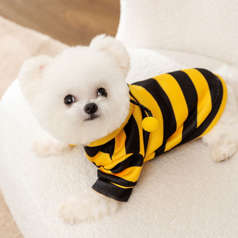 Sweatshirt for Dogs and Cats with Bee Design