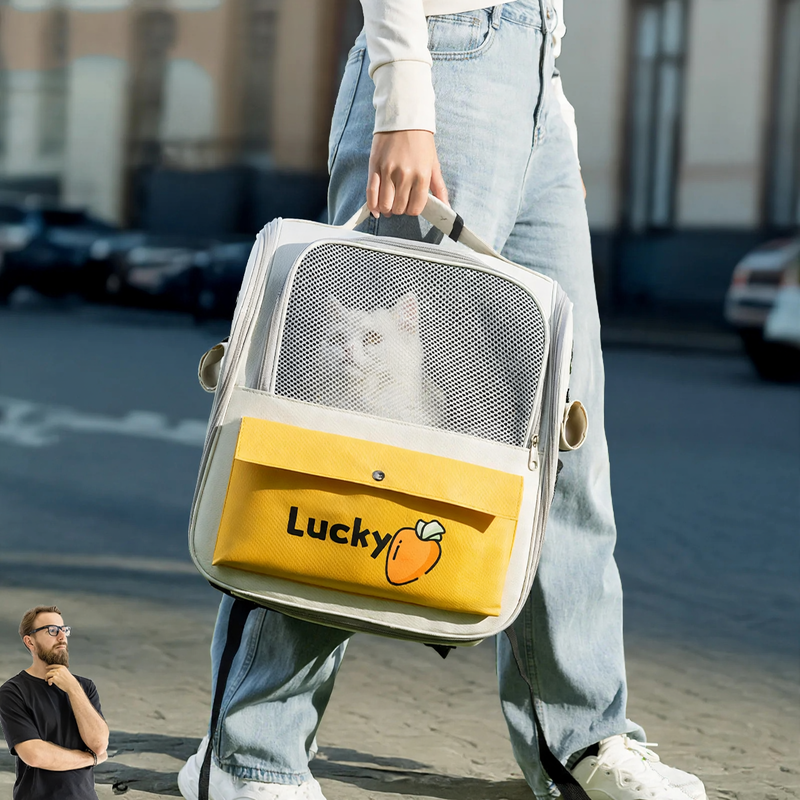 Backpack carrier for cats and small dogs