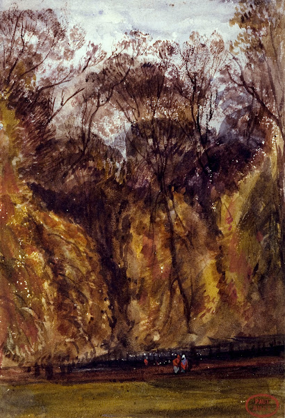 Les ormes à Saint Cloud