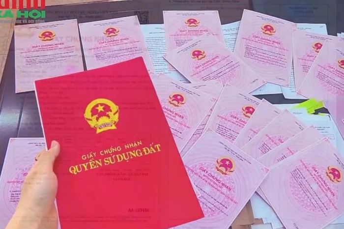 Năm 2026, khi tách thửa đất nông nghiệp tại An Giang, diện tích tối thiểu bao nhiêu thì được cấp sổ đỏ? - Chuyên trang Gia Đình &amp; Xã Hội - Báo Sức khỏe &amp; Đời sống