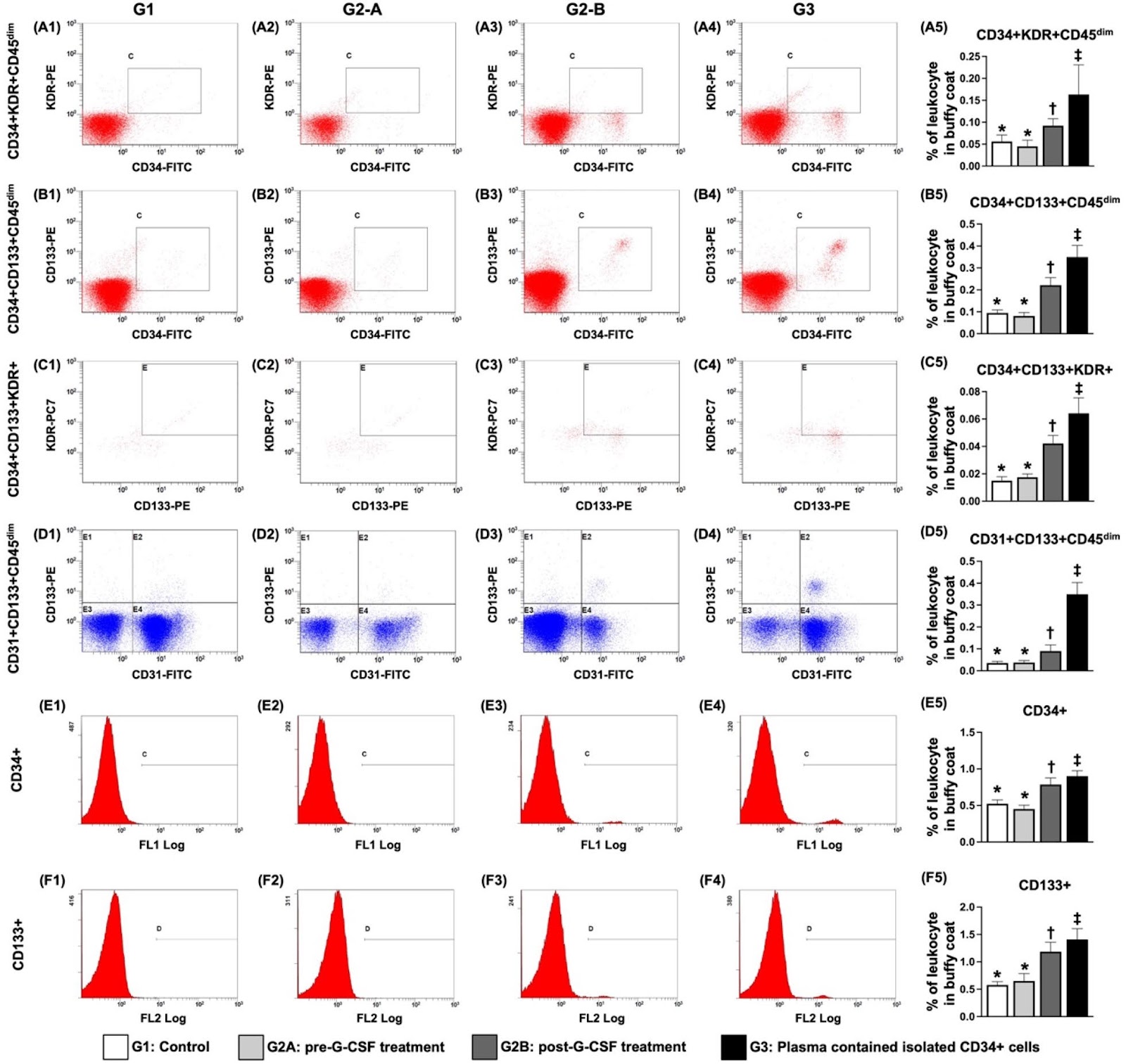 Long term outcomes of intracarotid arterial transfusion of circulatory-derived autologous CD34+ cells for acute ischemic stroke patients—A randomized, open-label, controlled phase II clinical trial