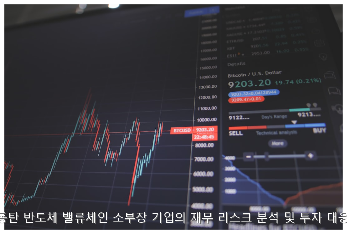 기흥·동탄 반도체 밸류체인 소부장 기업의 재무 리스크 분석 및 투자 대응 전략 핵심 안내 및 분석 인포그래픽 (3)