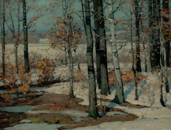 At the Forests Edge
