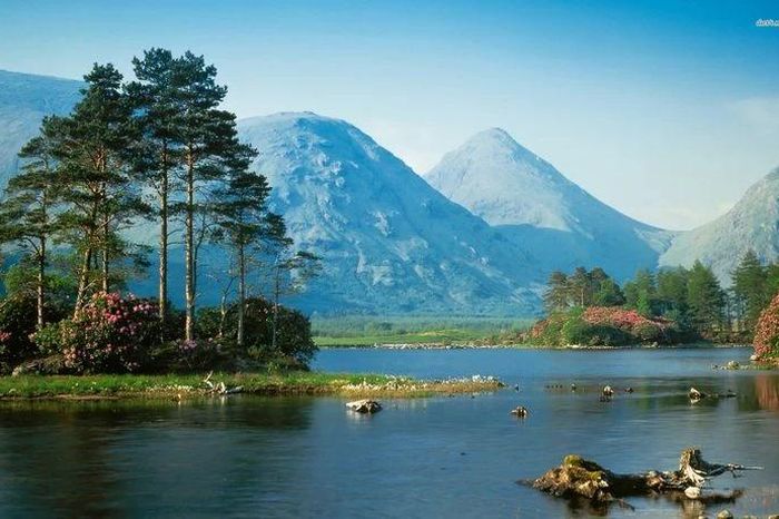 Khu rừng nguyên sinh tuyệt đẹp ít người có cơ hội bước vào ở Bolivia - Báo Tri thức &amp; Cuộc sống