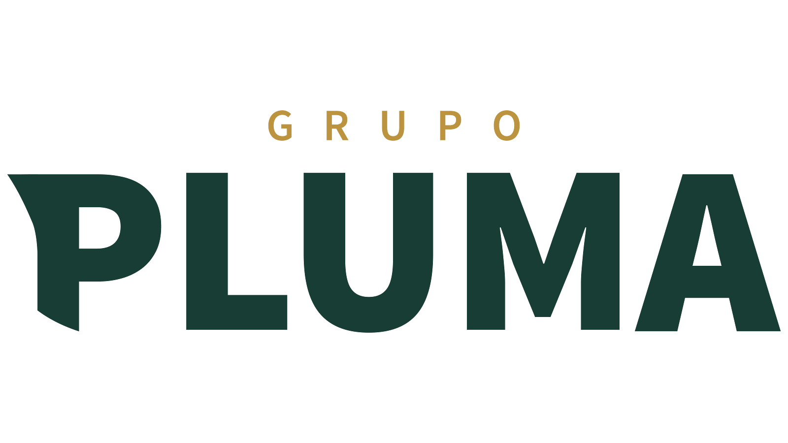 Grupo Pluma