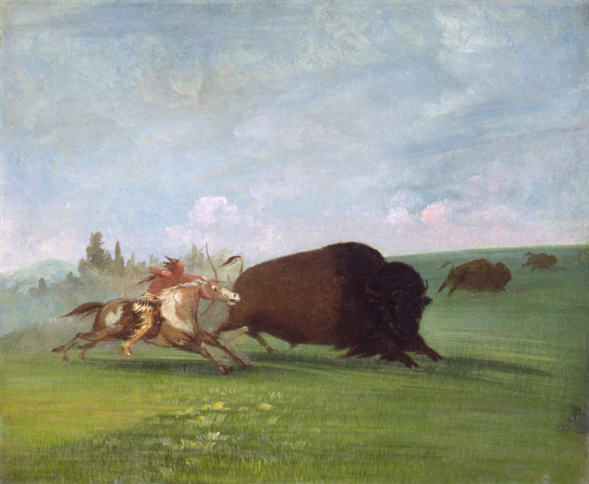 Buffalo Chase a Single Death 1832 1833