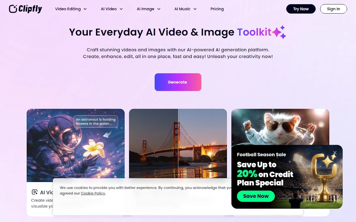 Captura de Clipfly