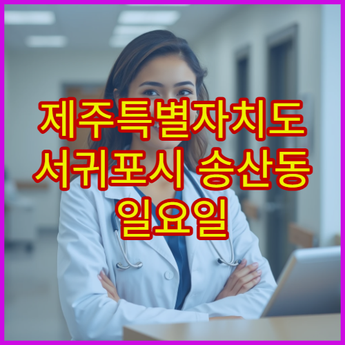 제주특별자치도 서귀포시 송산동 일요일 당번약국 휴일 여는 약국