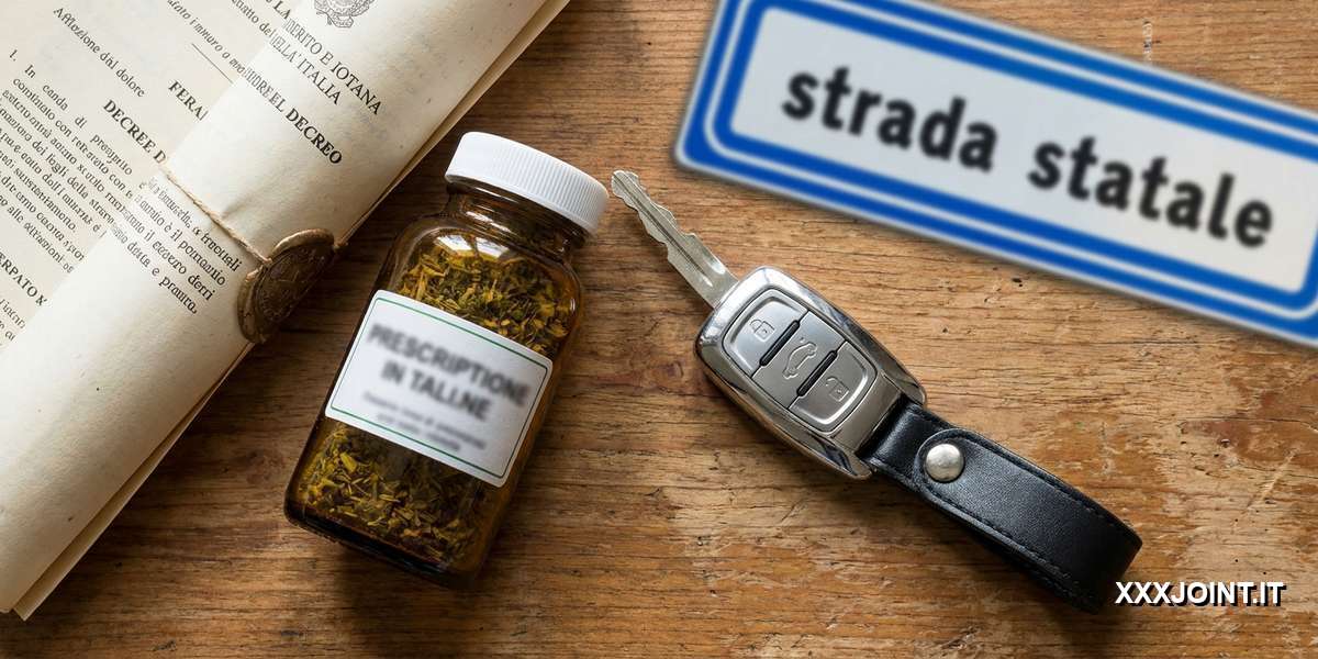 Immagine sui dubbi legali riguardo la patente dopo uso di cannabis terapeutica