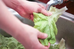 Rau xà lách, cà chua ngâm qua nước muối rồi rửa sạch, để ráo nước.