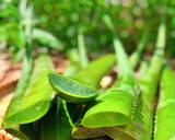 Ảnh Bước 1