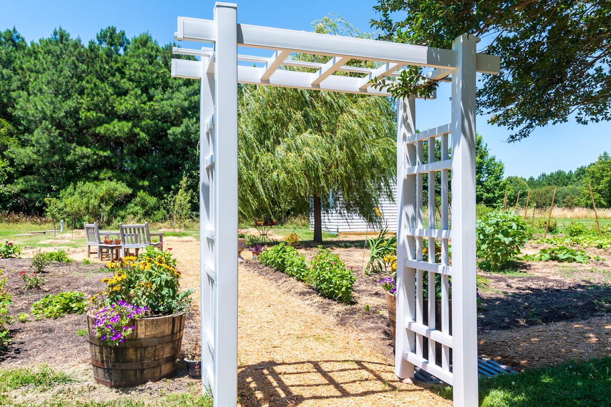 The kitchen garden