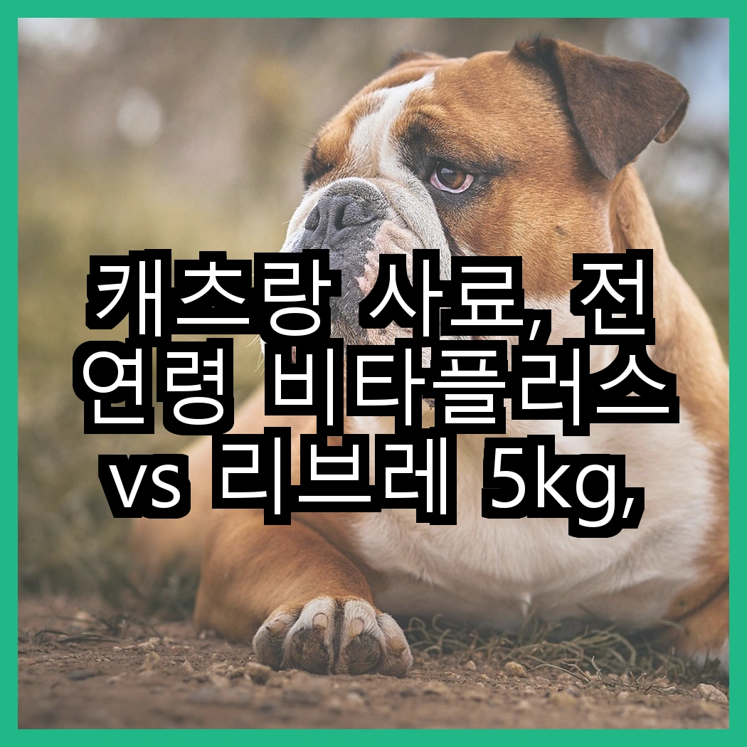 캐츠랑 사료, 전연령 비타플러스 vs 리브레 5kg, 고양이의 건강을 위해 어떤 선택이 좋을까? 썸네일