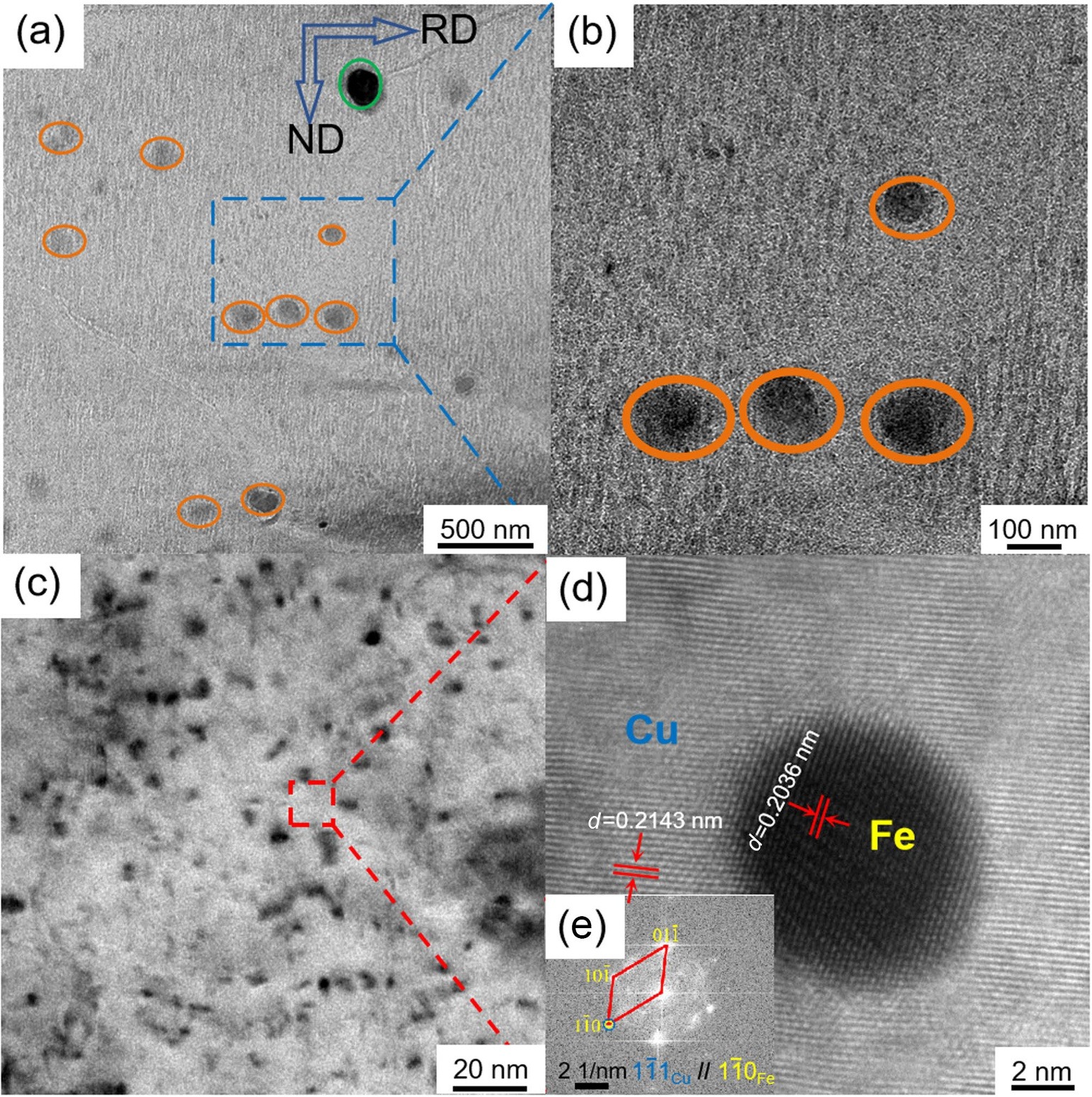 Evolution of microstructure and properties of Cu-12Fe alloys prepared by twin-roll strip casting