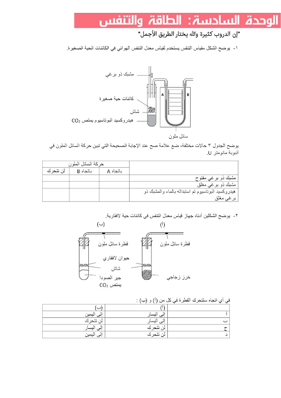 صورة الغلاف