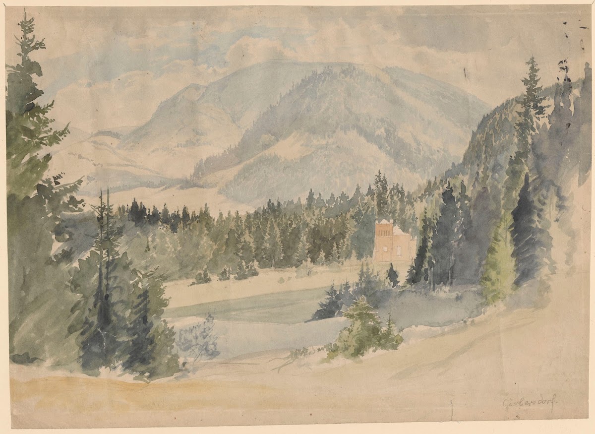 View of Sokołowsko 1850 1881