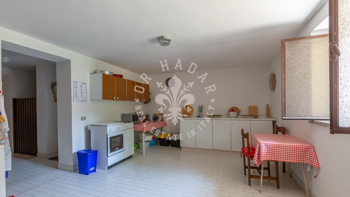החמניות של ארינה (I Girasoli di Erina) — 32