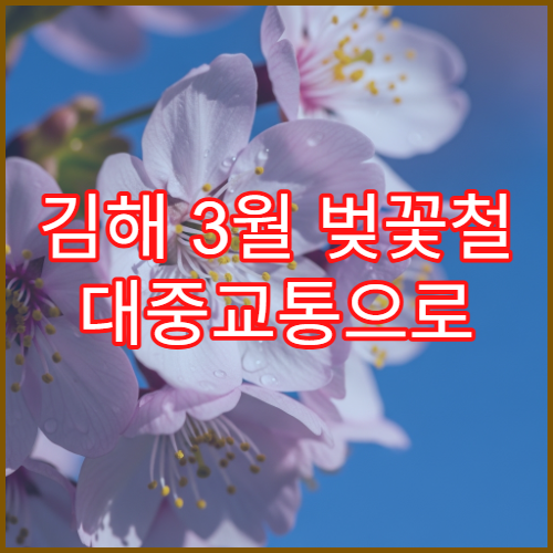 김해 3월 벚꽃철 대중교통으로 가기 좋은 근교 명소