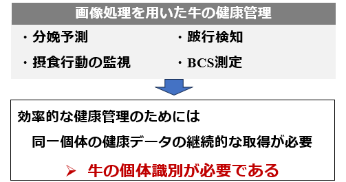 実験背景・目的