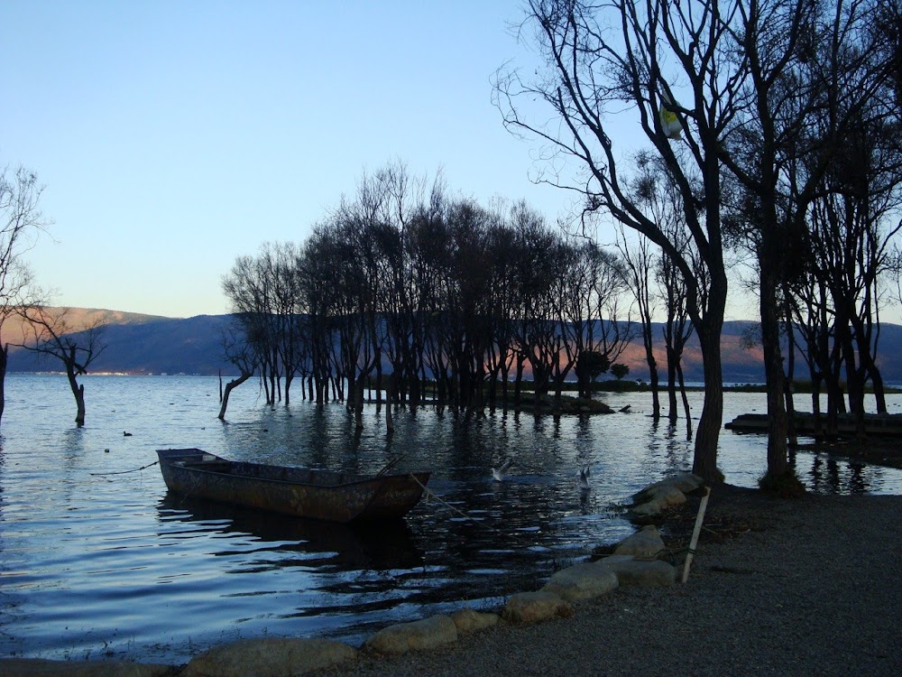 dreamy winter evening