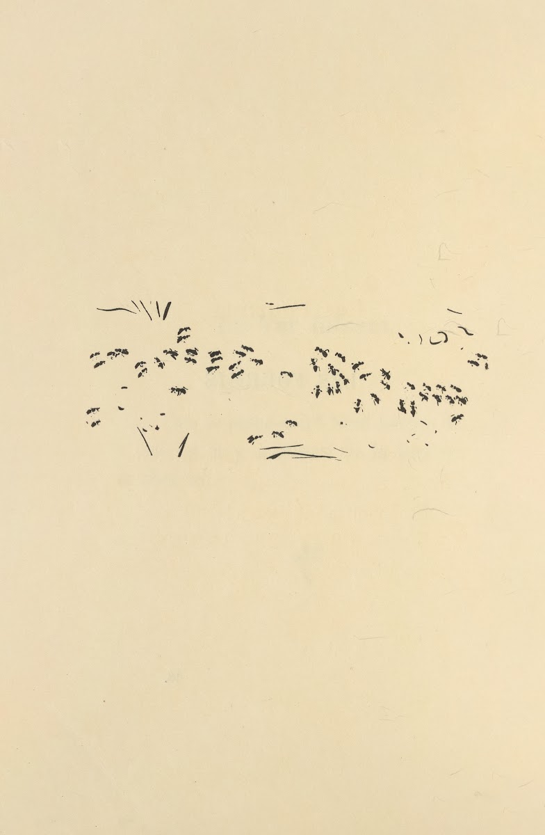 Histoires naturelles Pl 42 1922