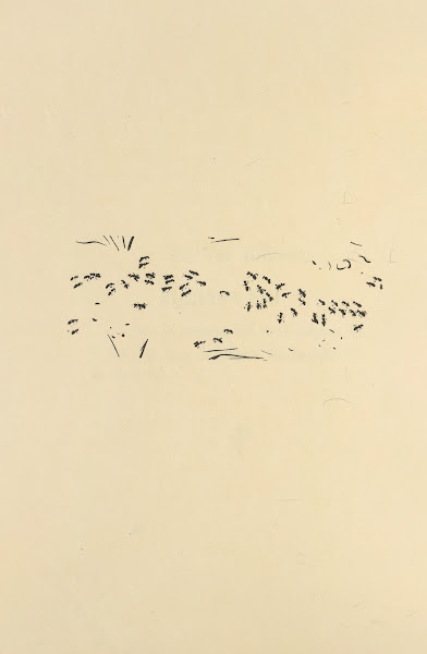 Histoires naturelles Pl 42 1922